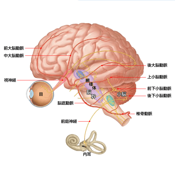 めまいの原因と治療 名古屋 春日井の脳神経外科 勝川脳神経クリニック