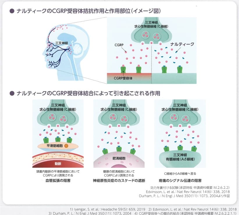 ナルティーク（リメゲパン）の作用機序を示す図。三叉神経末端から放出されるCGRPがCGRP受容体に結合して血管拡張や炎症反応、疼痛伝達を引き起こす過程を、ナルティークがCGRP受容体への結合を阻害することで抑制する様子を示している。血管拡張の阻害、神経性炎症のカスケード遮断、痛みのシグナル伝達の阻害を図解。